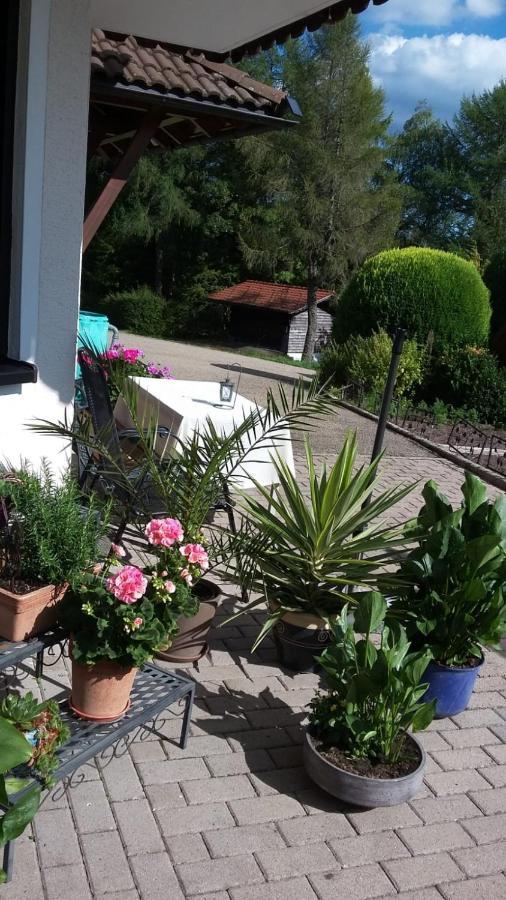 Ferienwohnung Haus Finkbeiner كنيبيس المظهر الخارجي الصورة